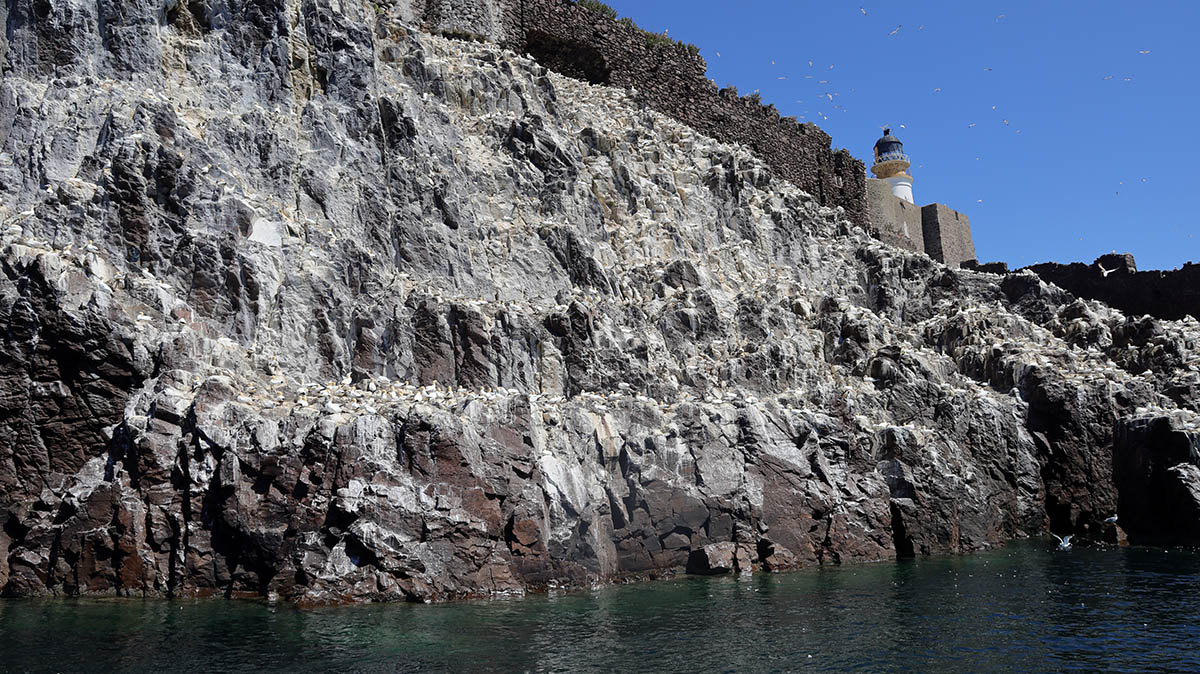 Bass Rock